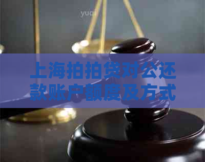 上海对公还款账户额度及方式详解，实际操作经验分享