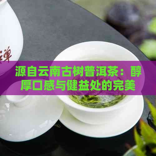 源自云南古树普洱茶：醇厚口感与健益处的完美结合