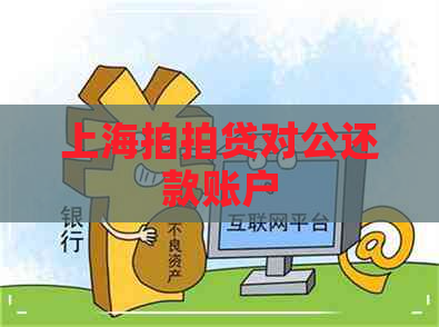 上海对公还款账户