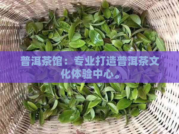 普洱茶馆：专业打造普洱茶文化体验中心。