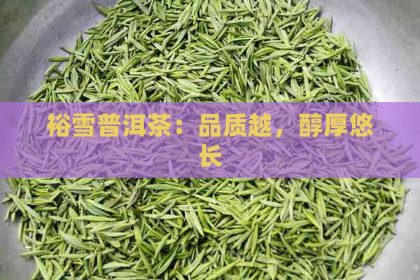 裕雪普洱茶：品质越，醇厚悠长