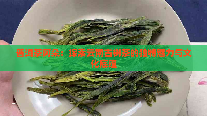 普洱茶阿朵：探索云南古树茶的独特魅力与文化底蕴