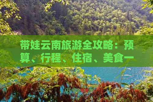 带娃云南旅游全攻略：预算、行程、住宿、美食一应俱全！