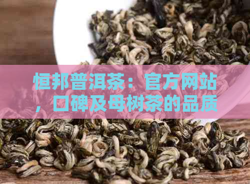 恒邦普洱茶：官方网站，口碑及母树茶的品质与价值