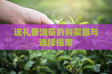 送礼普洱茶的购买量与选择指南