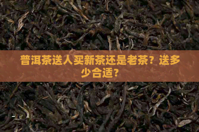 普洱茶送人买新茶还是老茶？送多少合适？