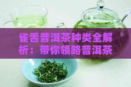 雀舌普洱茶种类全解析：带你领略普洱茶的多样性