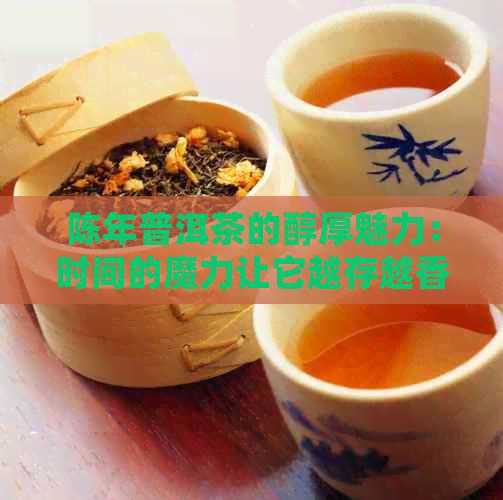 陈年普洱茶的醇厚魅力：时间的魔力让它越存越香