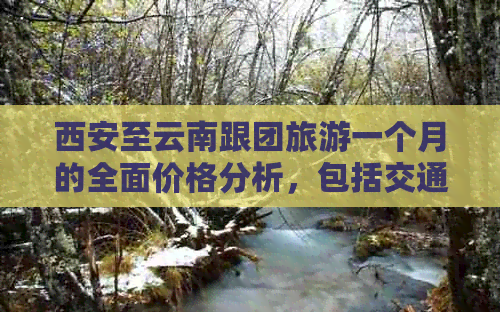 西安至云南跟团旅游一个月的全面价格分析，包括交通、住宿、餐饮等费用