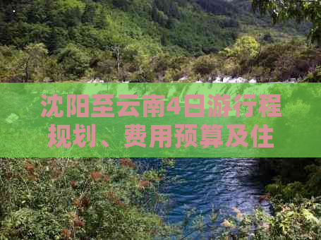 沈阳至云南4日     程规划、费用预算及住宿选择全解析