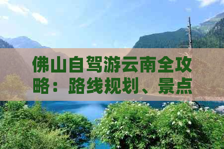 佛山自驾游云南全攻略：路线规划、景点推荐、交通住宿全解析