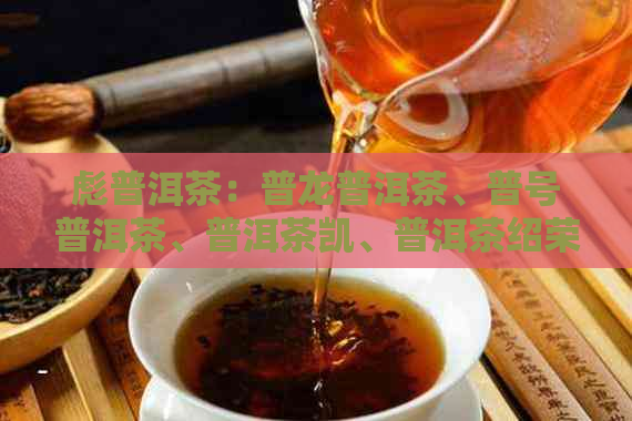 彪普洱茶：普龙普洱茶、普号普洱茶、普洱茶凯、普洱茶绍荣