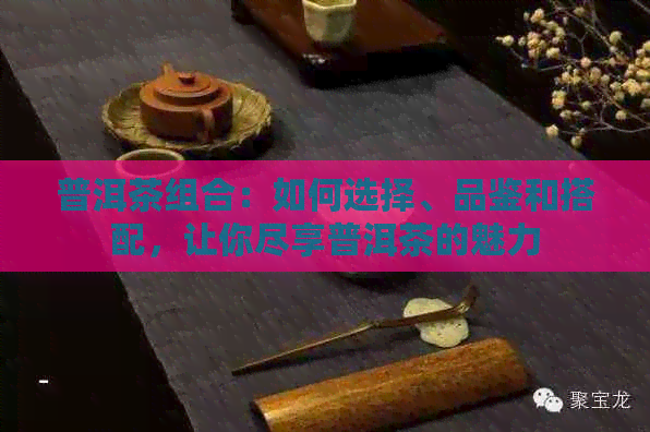 普洱茶组合：如何选择、品鉴和搭配，让你尽享普洱茶的魅力