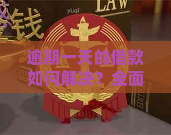 逾期一天的借款如何解决？全面指南为您解答各种可能性