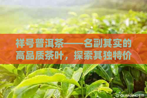 祥号普洱茶——名副其实的高品质茶叶，探索其独特价格与魅力