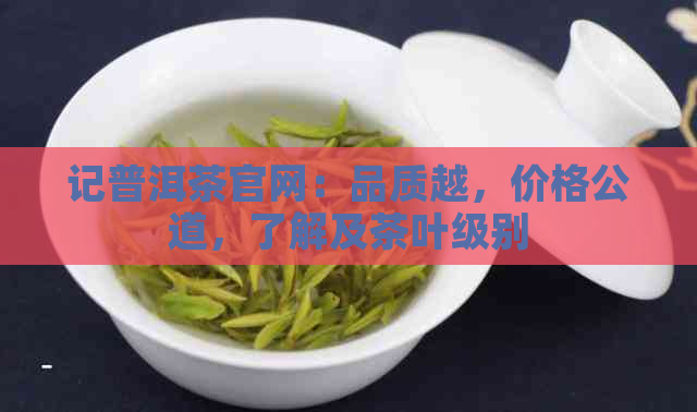 记普洱茶官网：品质越，价格公道，了解及茶叶级别