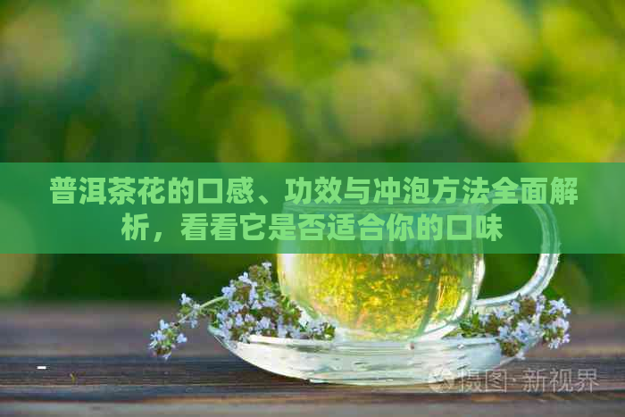 普洱茶花的口感、功效与冲泡方法全面解析，看看它是否适合你的口味