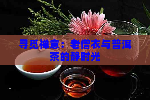 寻觅禅意：老僧衣与普洱茶的静时光