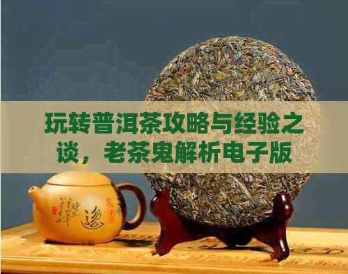 玩转普洱茶攻略与经验之谈，老茶鬼解析电子版