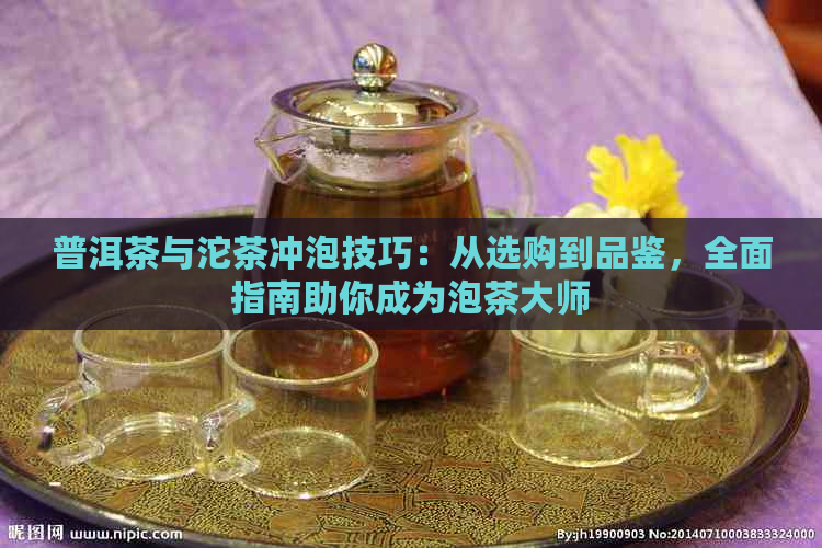 普洱茶与沱茶冲泡技巧：从选购到品鉴，全面指南助你成为泡茶大师