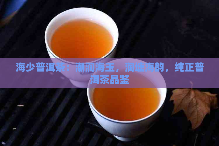 海少普洱茶：潮润海玉，润塘海韵，纯正普洱茶品鉴