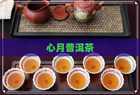 心月普洱茶