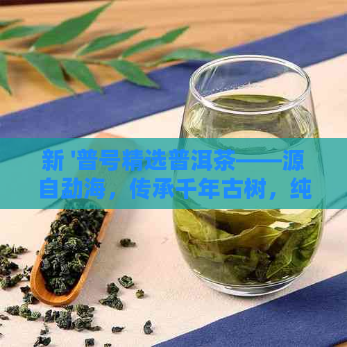 新 '普号精选普洱茶——源自勐海，传承千年古树，纯正品质'