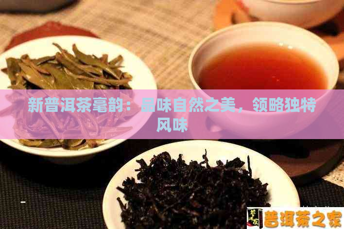 新普洱茶毫韵：品味自然之美，领略独特风味