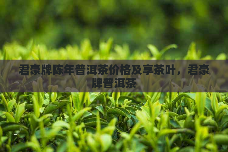 君豪牌陈年普洱茶价格及享茶叶，君豪牌普洱茶