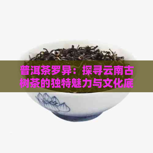 普洱茶罗异：探寻云南古树茶的独特魅力与文化底蕴