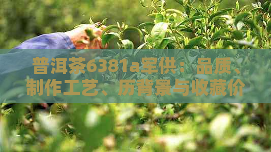 普洱茶6381a军供：品质、制作工艺、历背景与收藏价值全面解析