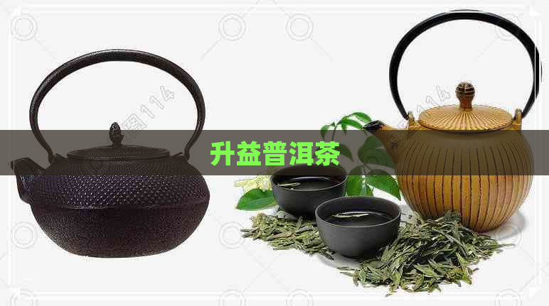 升益普洱茶