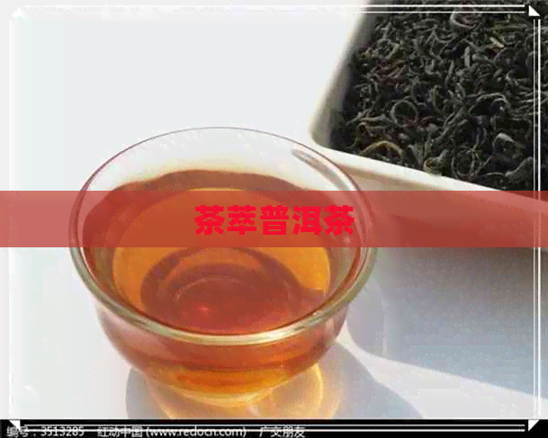 茶萃普洱茶