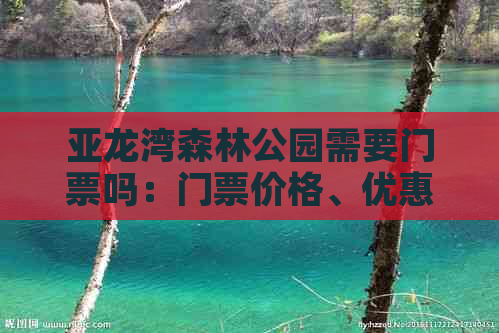 亚龙湾森林公园需要门票吗：门票价格、优惠政策及免票政策一览