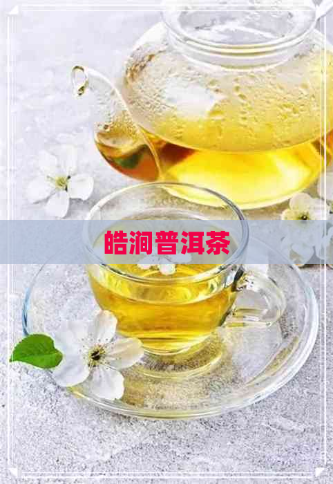 皓涧普洱茶