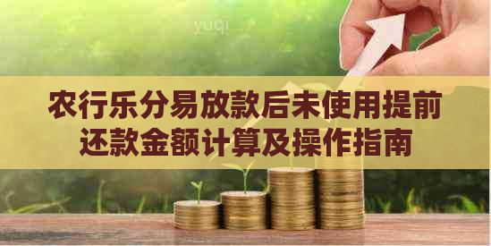 农行乐分易放款后未使用提前还款金额计算及操作指南