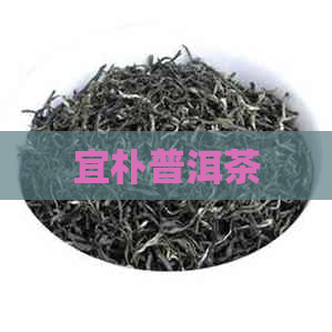 宜朴普洱茶