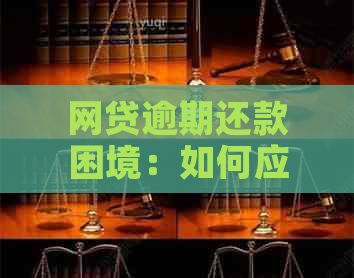 网贷逾期还款困境：如何应对、协商期还是加快还款进度？