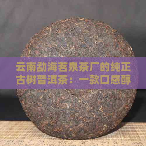 云南勐海茗泉茶厂的纯正古树普洱茶：一款口感醇厚、品质越的茶叶佳品