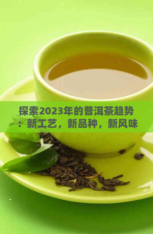 探索2023年的普洱茶趋势：新工艺，新品种，新风味