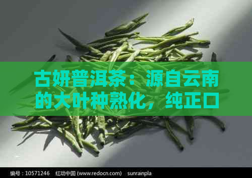 古妍普洱茶：源自云南的大叶种熟化，纯正口感与健生活的完美融合