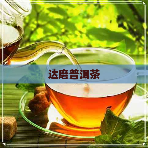 达磨普洱茶