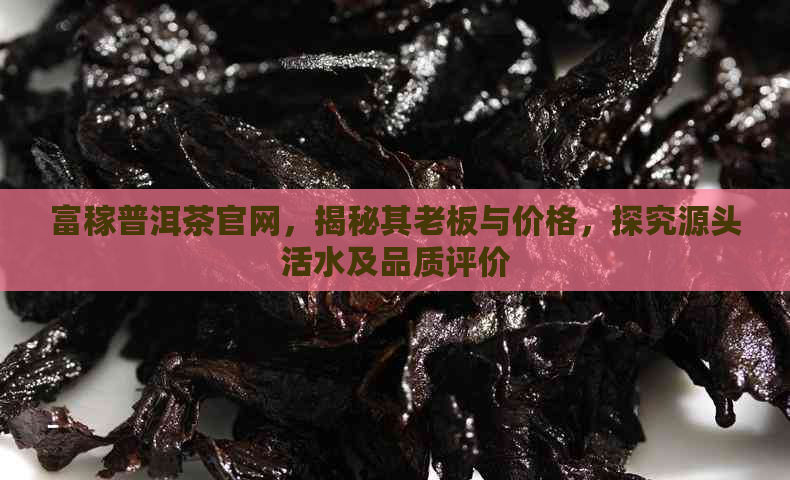 富稼普洱茶官网，揭秘其老板与价格，探究源头活水及品质评价