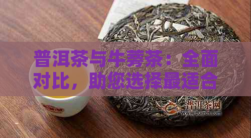 普洱茶与牛蒡茶：全面对比，助您选择最适合您的养生茶饮