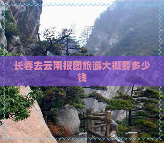 长春去云南报团旅游大概要多少钱