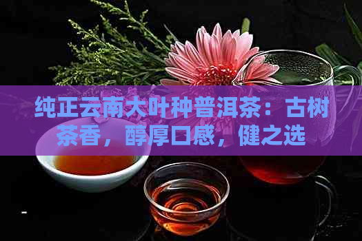 纯正云南大叶种普洱茶：古树茶香，醇厚口感，健之选