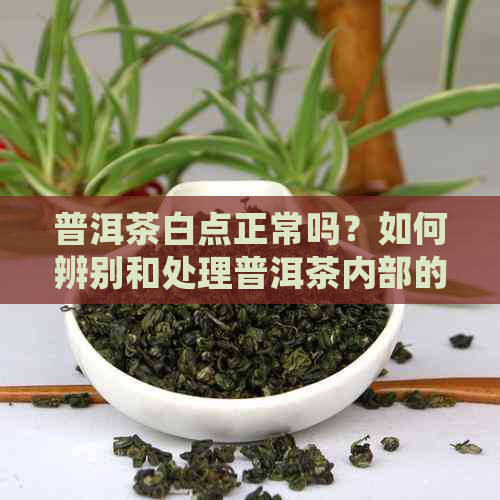 普洱茶白点正常吗？如何辨别和处理普洱茶内部的白点现象？