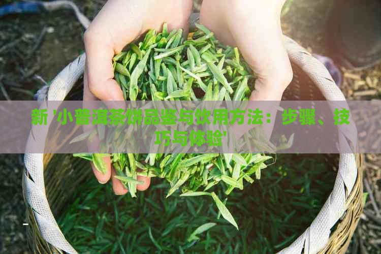 新 '小普洱茶饼品鉴与饮用方法：步骤、技巧与体验'