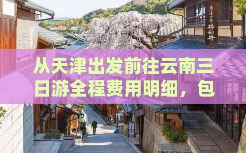 从天津出发前往云南三日游全程费用明细，包括交通、住宿、餐饮等各项花费