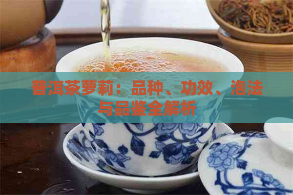 普洱茶萝莉：品种、功效、泡法与品鉴全解析